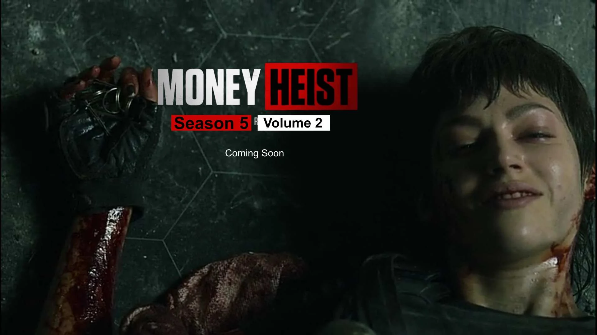 Download Money Heist Season 5 Volume 2 in Hindi