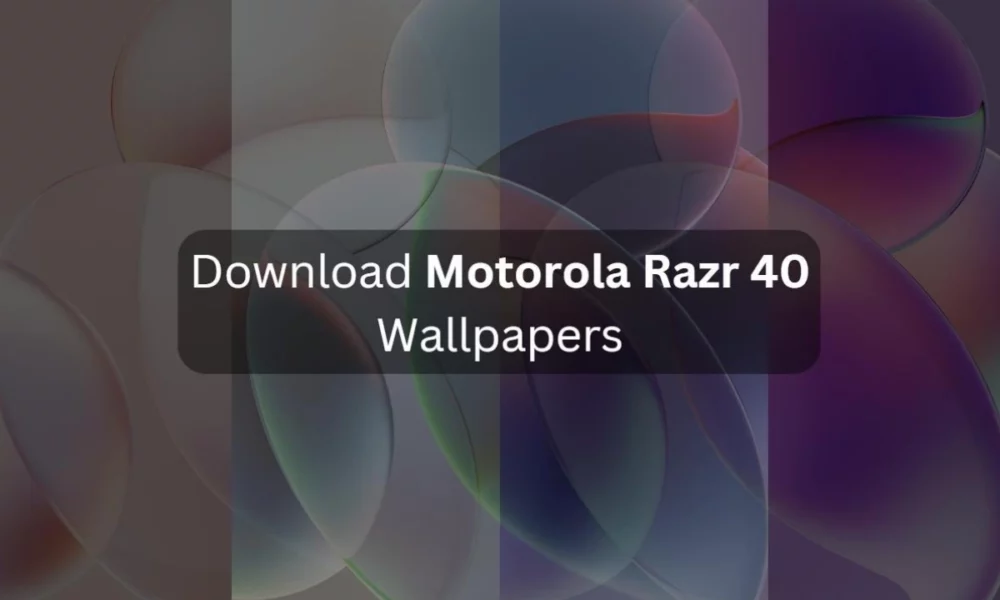 Motorola Moto Z Logo PNG Image With Transparent Background | TOPpng