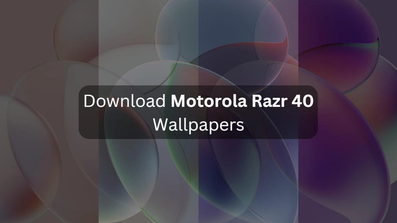 How to Change Wallpaper on Motorola Phone - Set GIF as Wallpaper on Moto  Phone - YouTube