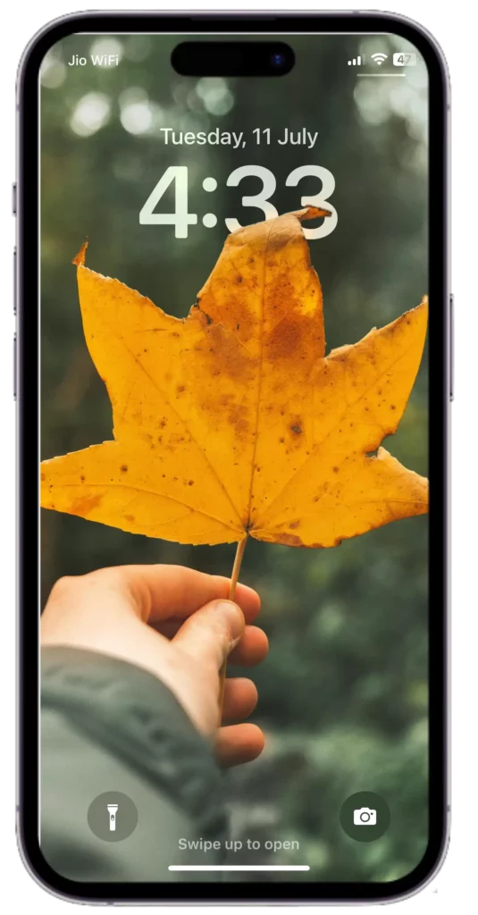 iphone depth effect wallpaper with showcasing a mesmerizing closeup of a girl delicately cradling a stunning autumn leaf